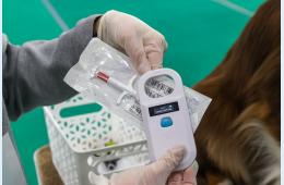 25.11.2025 Регистрация помогает найти владельцев агрессивных собак в Приморье | Администрация муниципального округа город Партизанск Приморского края Официальный сайт