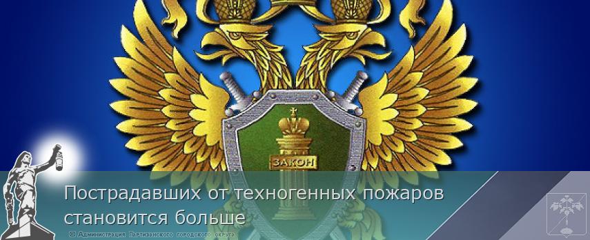 Пострадавших от техногенных пожаров становится больше | Администрация муниципального округа город Партизанск Приморского края Официальный сайт