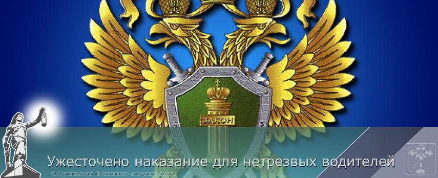 Ужесточено наказание для нетрезвых водителей | Администрация муниципального округа город Партизанск Приморского края Официальный сайт