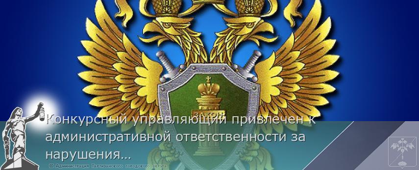 Конкурсный управляющий привлечен к административной ответственности за нарушения законодательства о несостоятельности (банкротстве) | Администрация муниципального округа город Партизанск Приморского края Официальный сайт