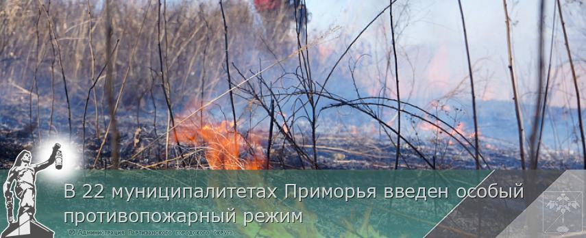 В 22 муниципалитетах Приморья введен особый противопожарный режим | Администрация муниципального округа город Партизанск Приморского края Официальный сайт
