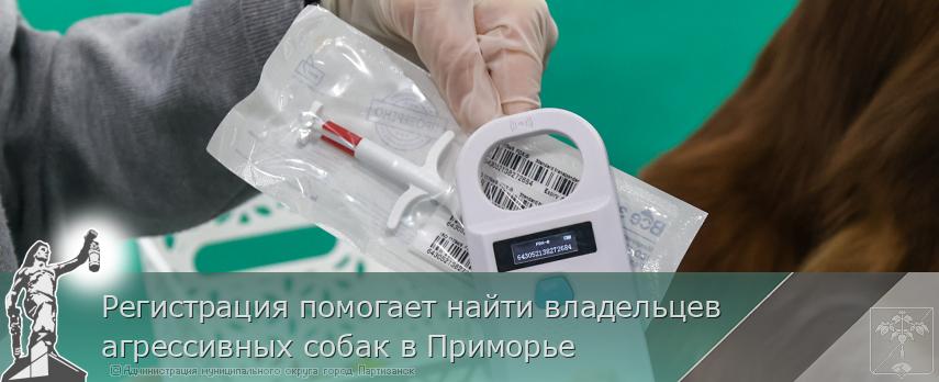 Регистрация помогает найти владельцев агрессивных собак в Приморье | Администрация муниципального округа город Партизанск Приморского края Официальный сайт